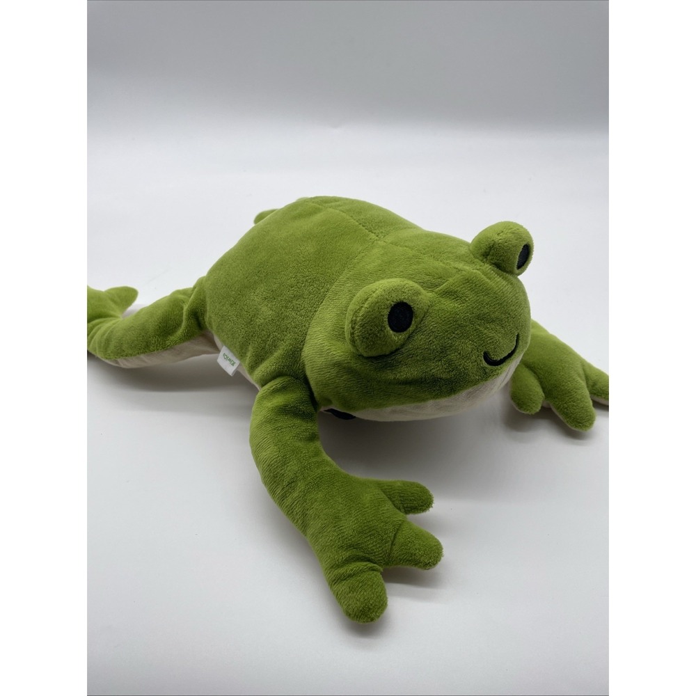 Kiwi‎ Co Dissection Frog With Internal Organs For Teaching Vintage Plush Toy